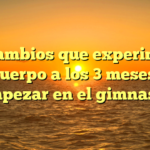 Los cambios que experimenta tu cuerpo a los 3 meses de empezar en el gimnasio