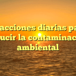 10 acciones diarias para reducir la contaminación ambiental