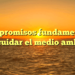 6 compromisos fundamentales para cuidar el medio ambiente