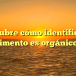 Descubre cómo identificar si un alimento es orgánico o no