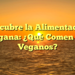 Descubre la Alimentación Vegana: ¿Qué Comen los Veganos?