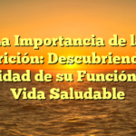 La Importancia de la Nutrición: Descubriendo la Finalidad de su Función en la Vida Saludable