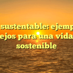 Vida sustentable: ejemplos y consejos para una vida más sostenible