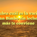 Descubre cuál es la variedad de pan Bimbo sin leche que más te conviene