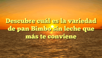 Descubre cuál es la variedad de pan Bimbo sin leche que más te conviene