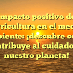 El impacto positivo de la agricultura en el medio ambiente: ¡descubre cómo contribuye al cuidado de nuestro planeta!
