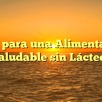 Guía para una Alimentación Saludable sin Lácteos