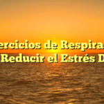 5 Ejercicios de Respiración para Reducir el Estrés Diario