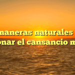 7 maneras naturales de gestionar el cansancio mental
